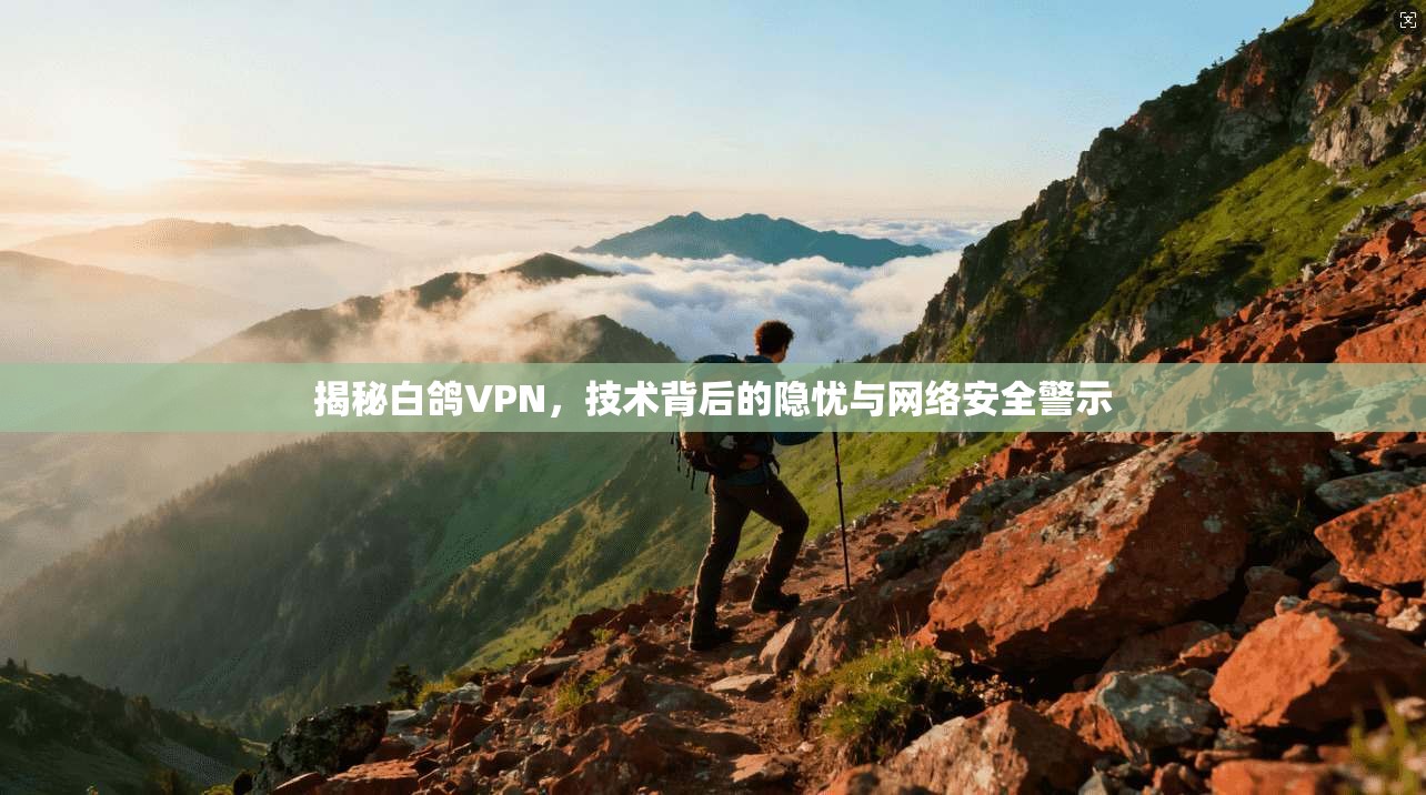 揭秘白鸽VPN，技术背后的隐忧与网络安全警示