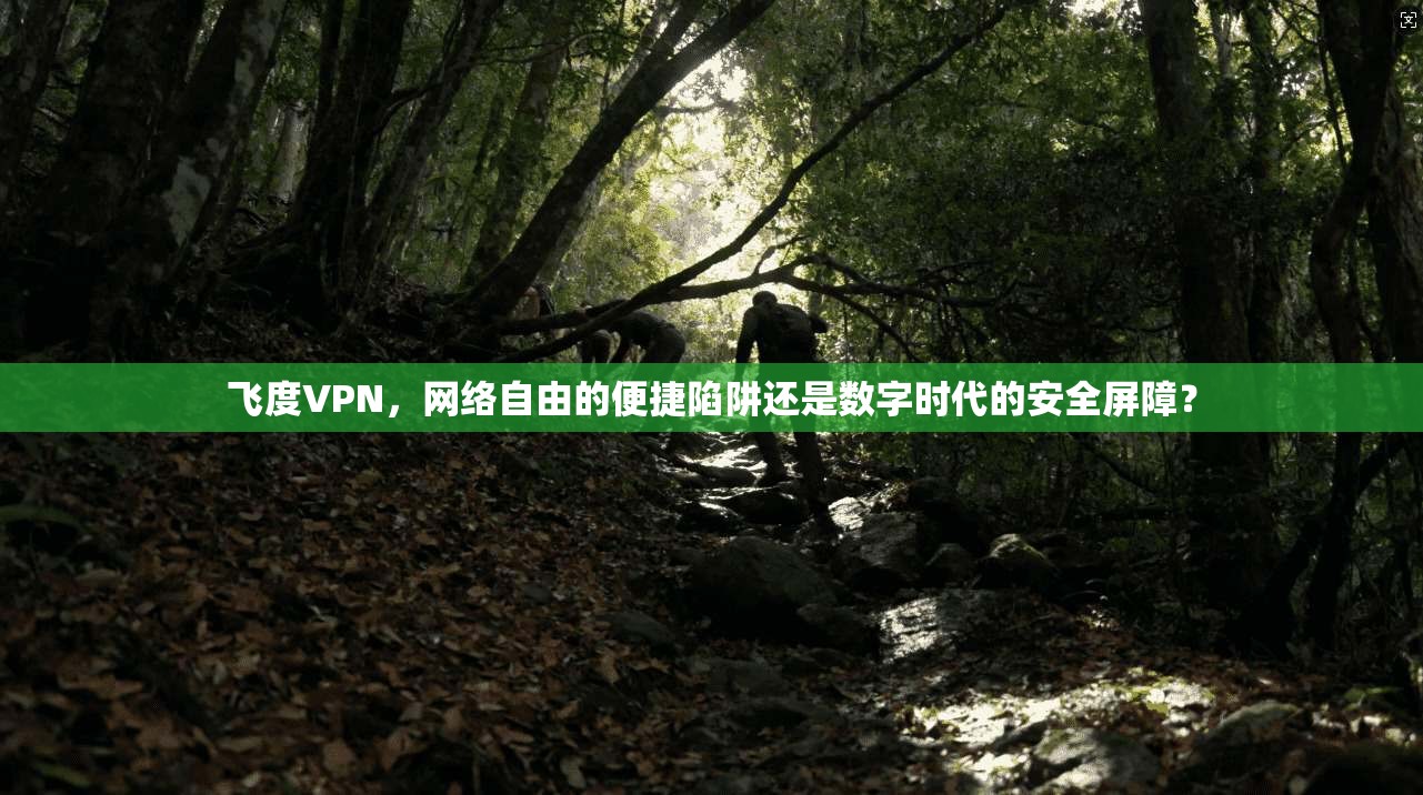 飞度VPN，网络自由的便捷陷阱还是数字时代的安全屏障？