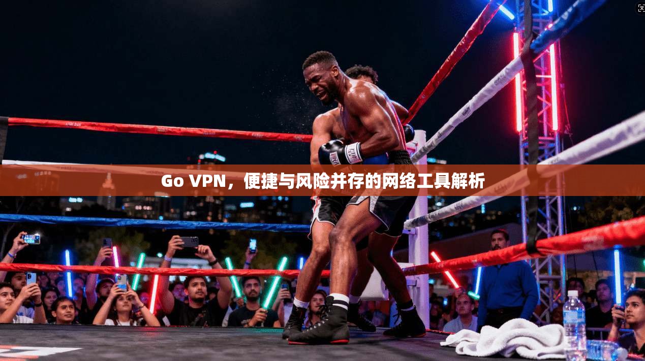 Go VPN，便捷与风险并存的网络工具解析