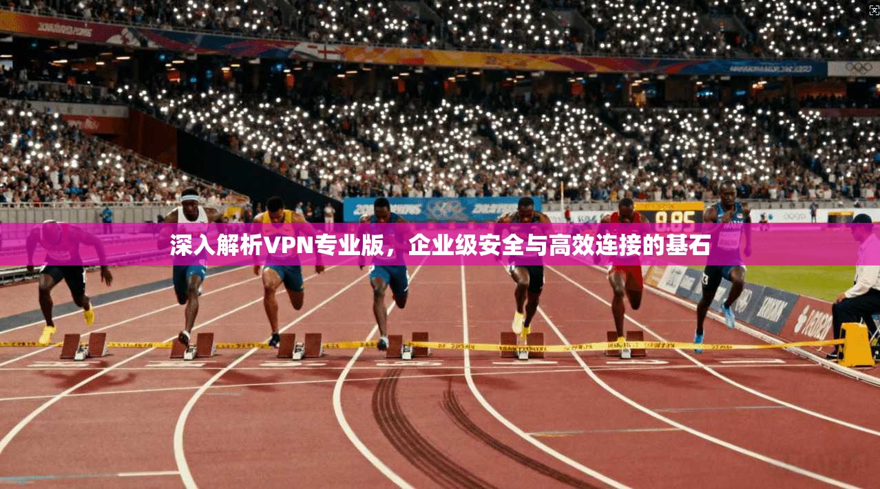 深入解析VPN专业版,企业级安全与高效连接的基石 深入解析VPN专业版,企业级安全与高效连接的基石