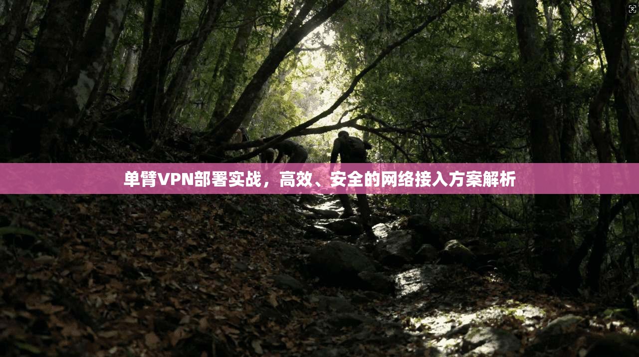 单臂VPN部署实战,高效、安全的网络接入方案解析