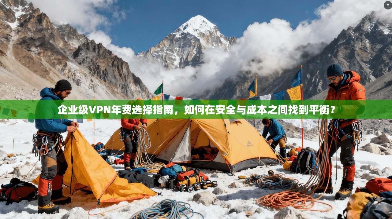 企业级VPN年费选择指南，如何在安全与成本之间找到平衡？