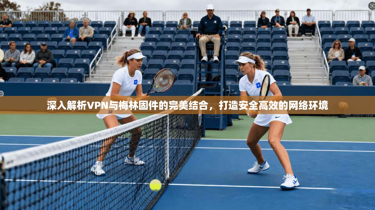 深入解析VPN与梅林固件的完美结合，打造安全高效的网络环境
