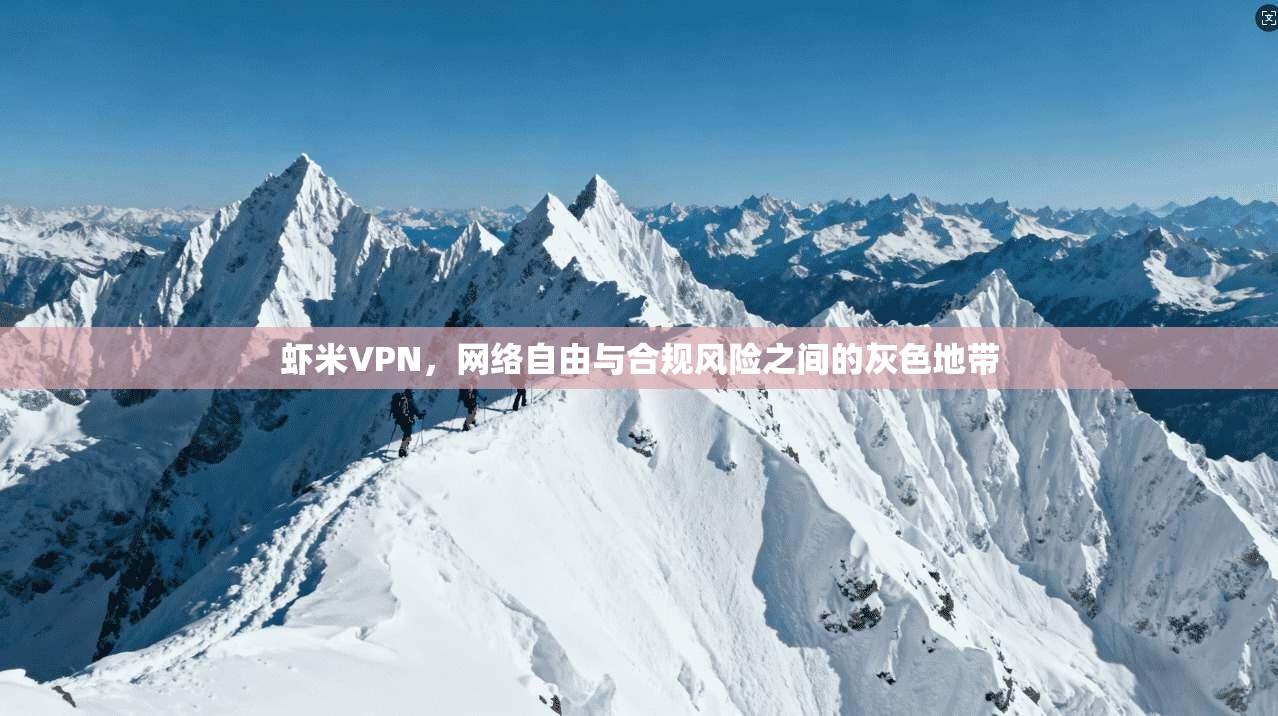 虾米VPN，网络自由与合规风险之间的灰色地带