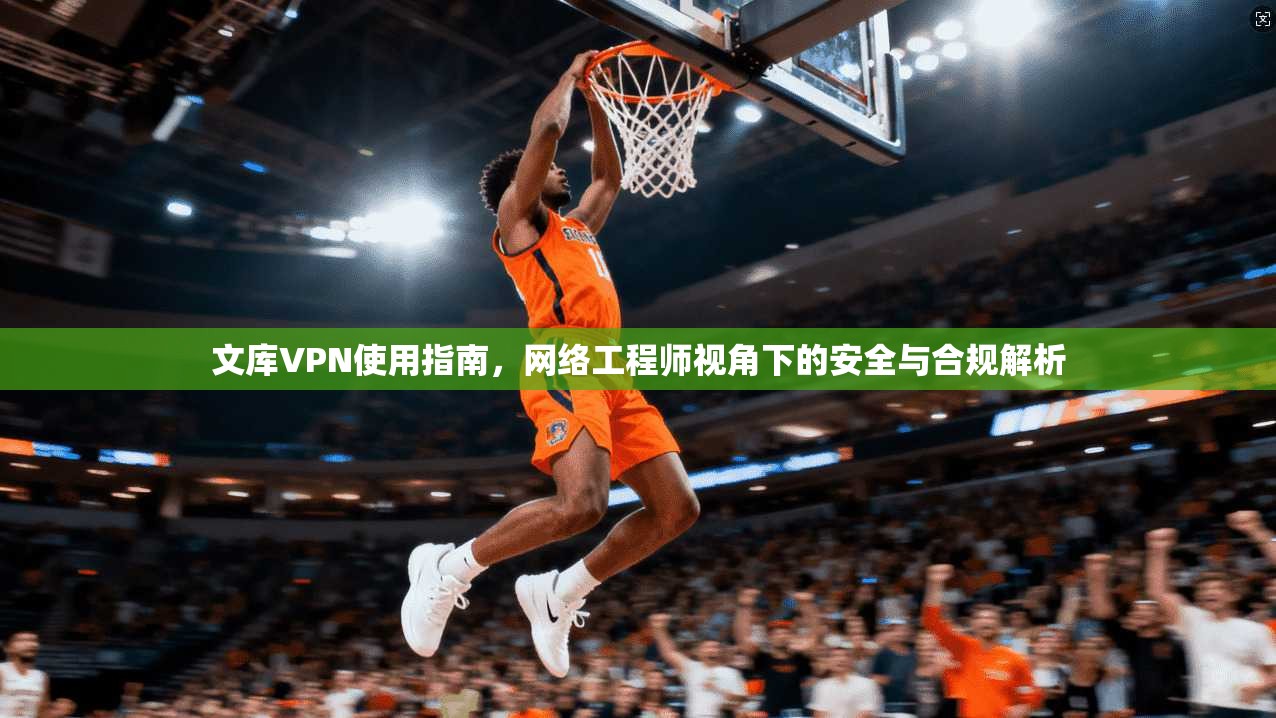 文库VPN使用指南，网络工程师视角下的安全与合规解析