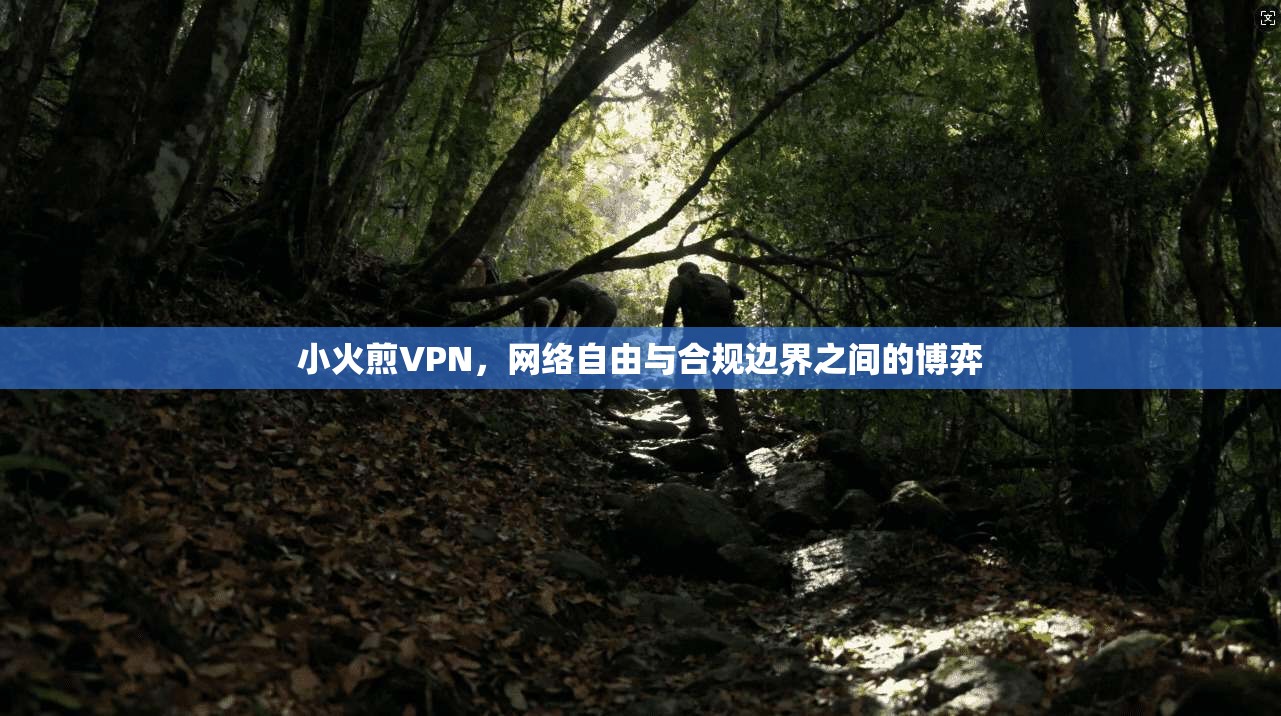 小火煎VPN，网络自由与合规边界之间的博弈