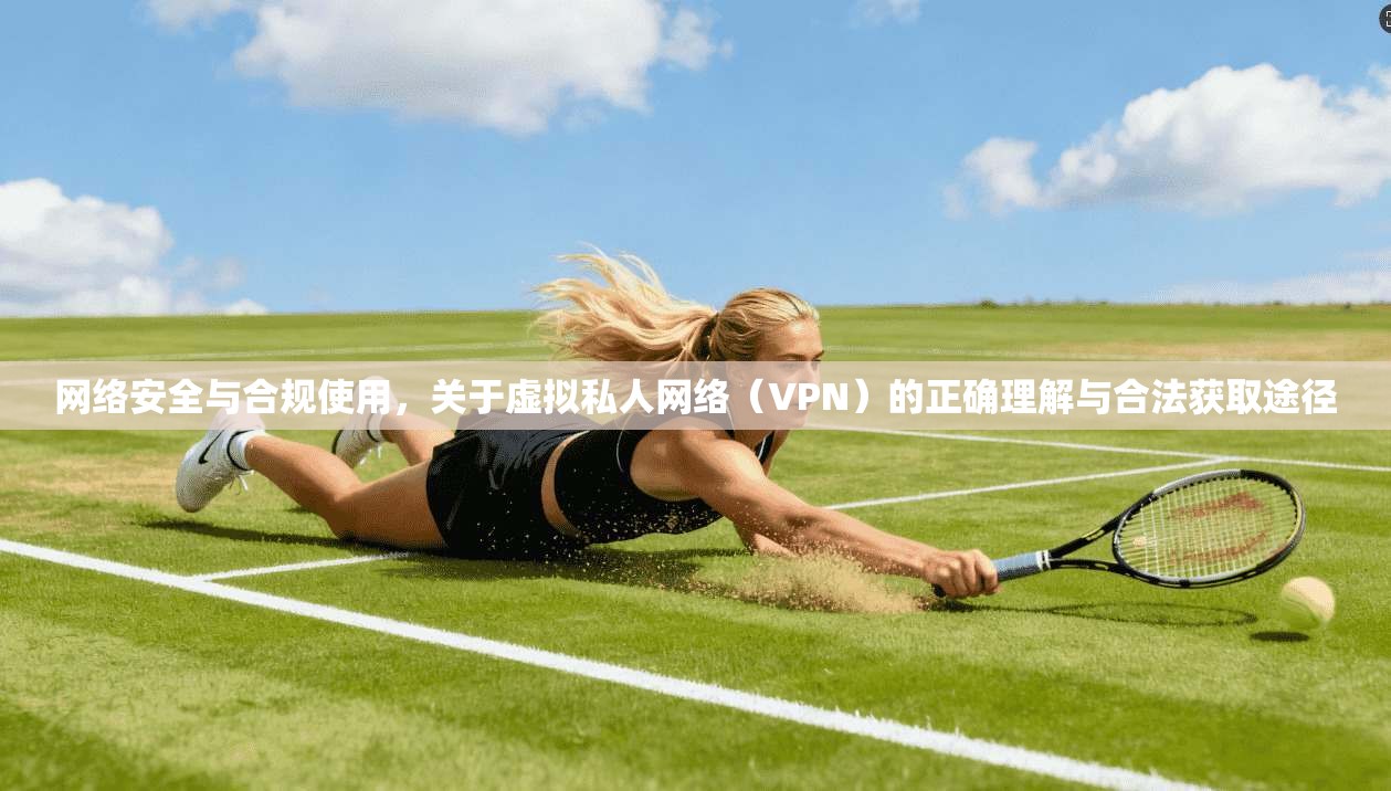 网络安全与合规使用,关于虚拟私人网络(VPN)的正确理解与合法获取途径