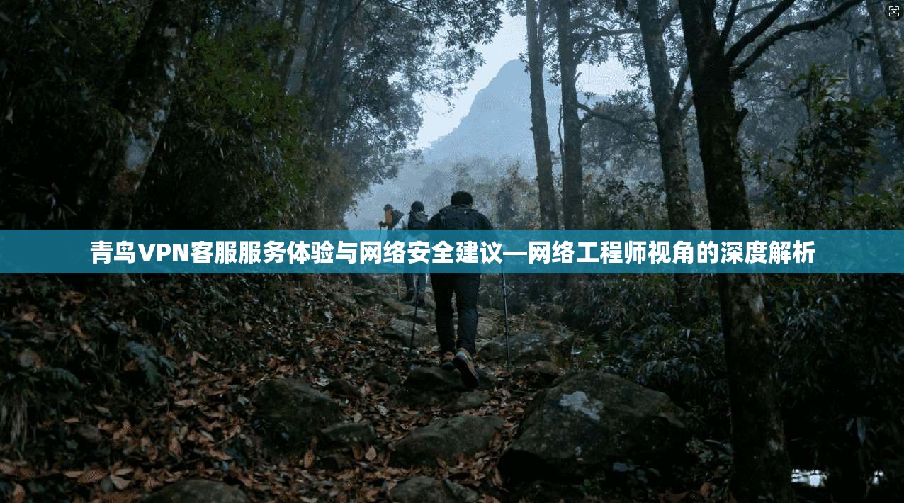 青鸟VPN客服服务体验与网络安全建议—网络工程师视角的深度解析