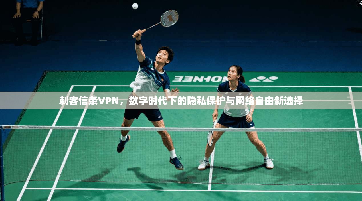 刺客信条VPN,数字时代下的隐私保护与网络自由新选择 刺客信条VPN,数字时代下的隐私保护与网络自由新选择