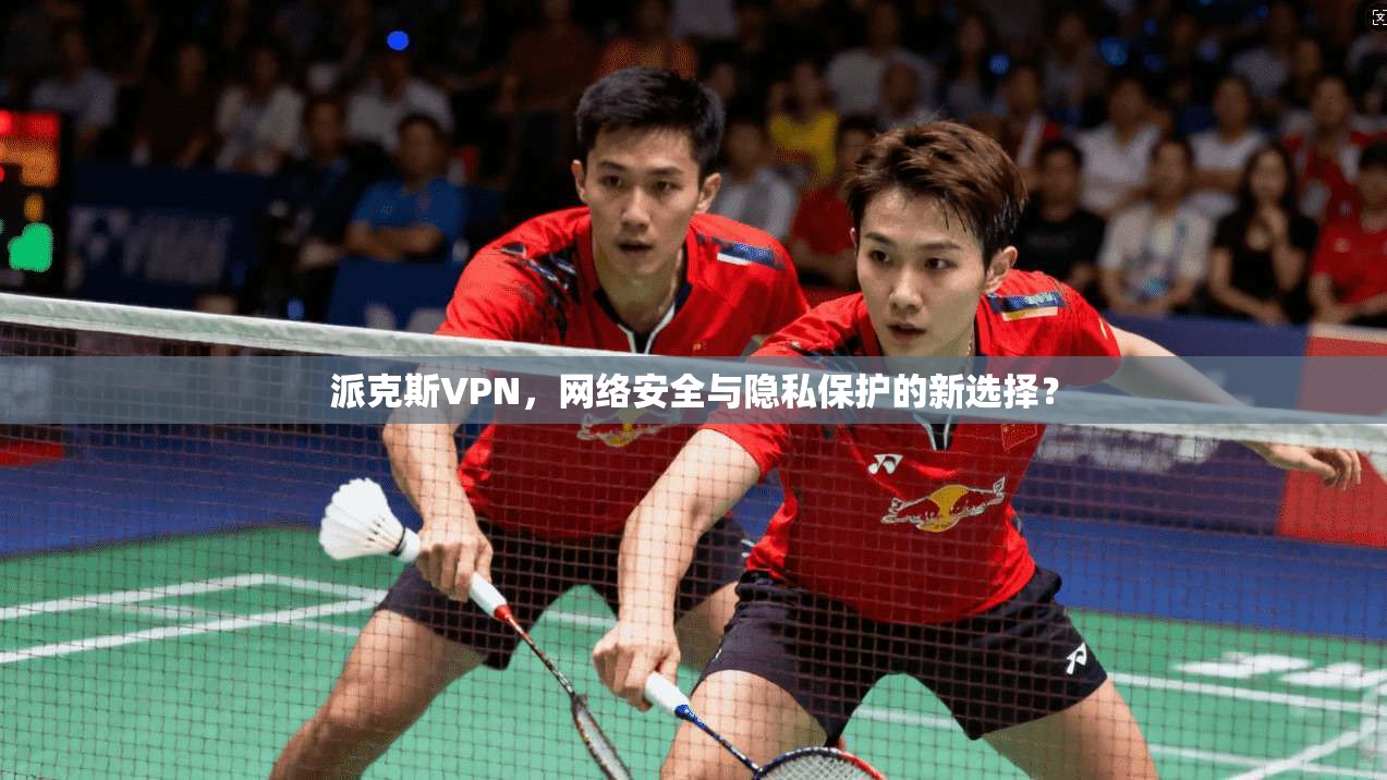 派克斯VPN,网络安全与隐私保护的新选择?