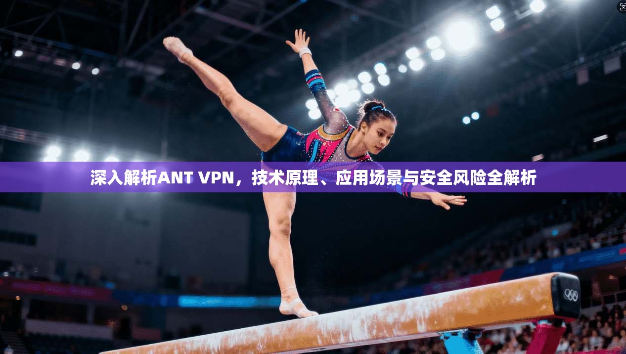 深入解析ANT VPN,技术原理、应用场景与安全风险全解析 深入解析ANT VPN,技术原理、应用场景与安全风险全解析