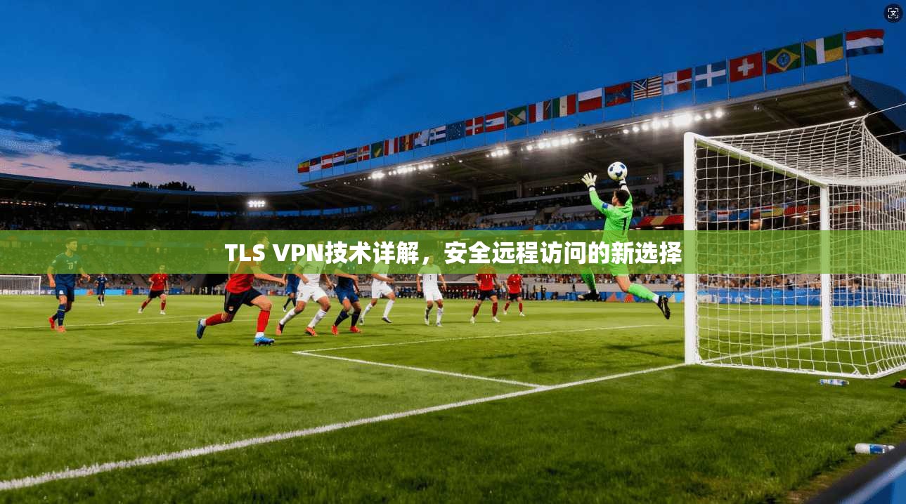 TLS VPN技术详解,安全远程访问的新选择