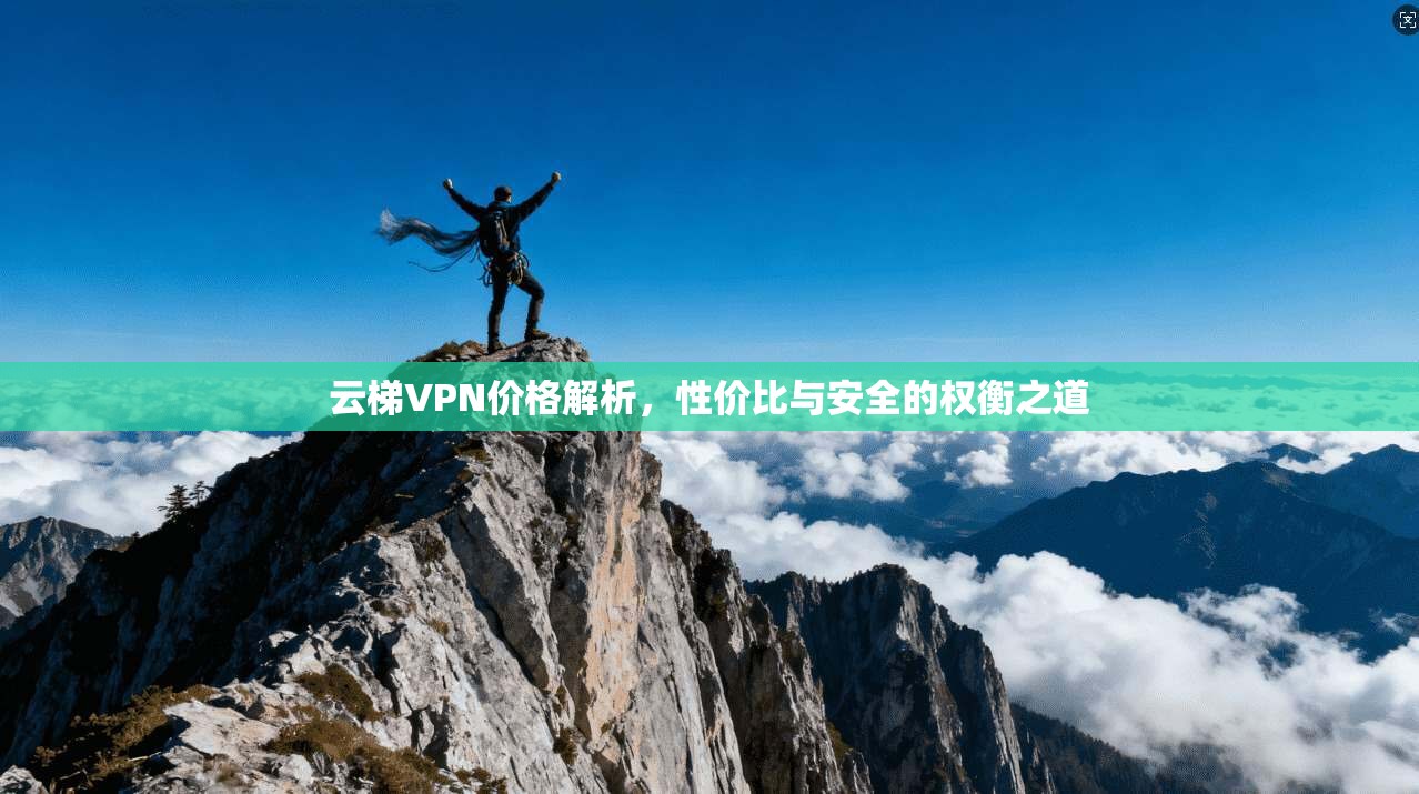 云梯VPN价格解析,性价比与安全的权衡之道