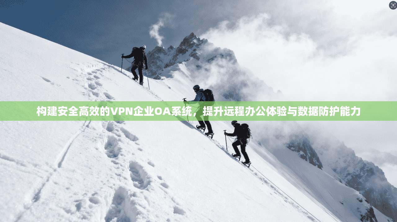 构建安全高效的VPN企业OA系统,提升远程办公体验与数据防护能力