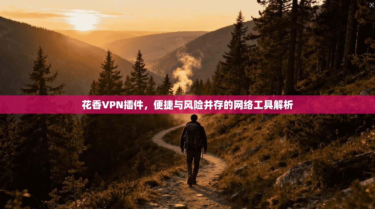 花香VPN插件，便捷与风险并存的网络工具解析