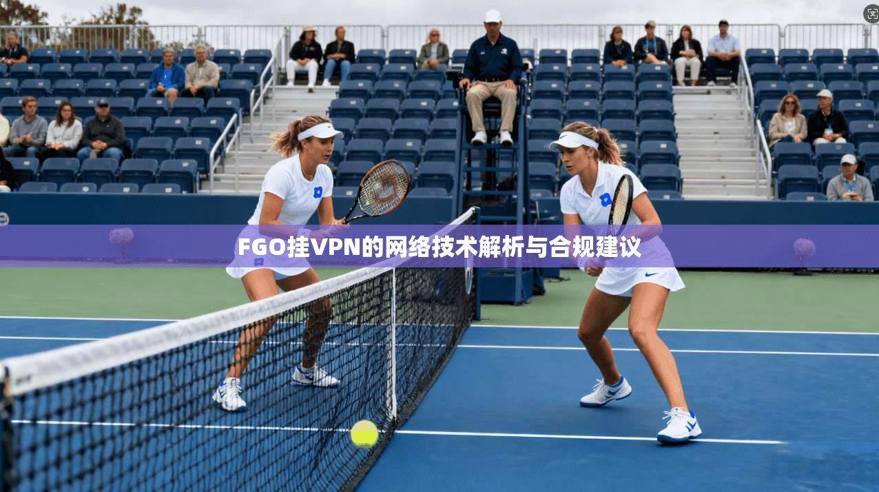 FGO挂VPN的网络技术解析与合规建议