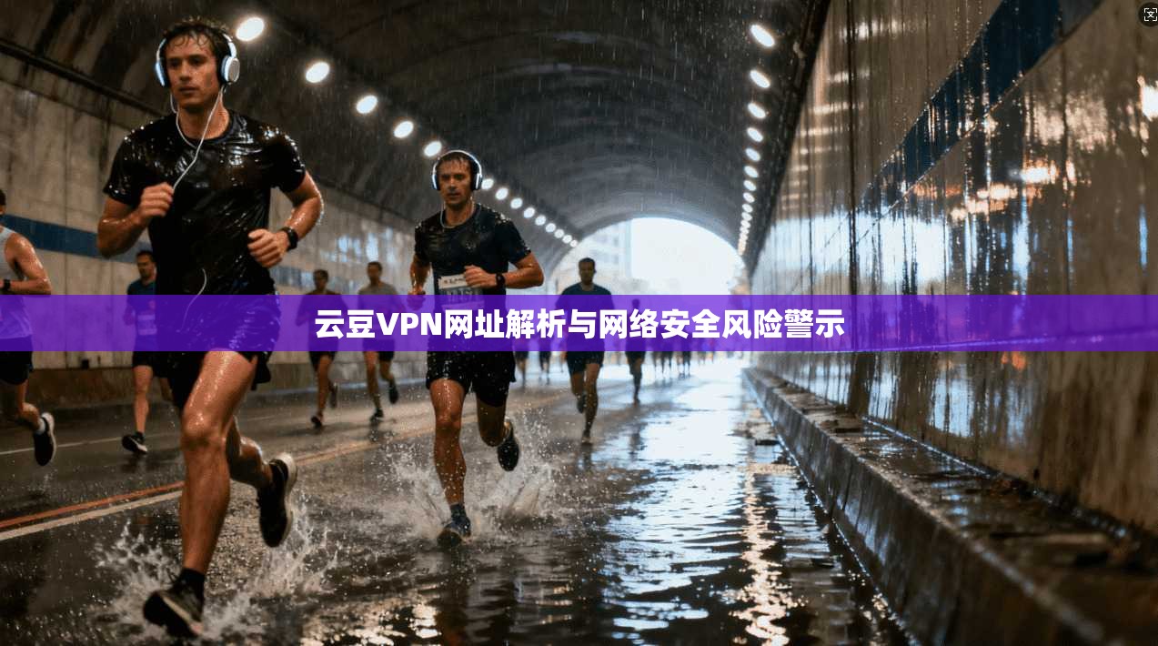 云豆VPN网址解析与网络安全风险警示