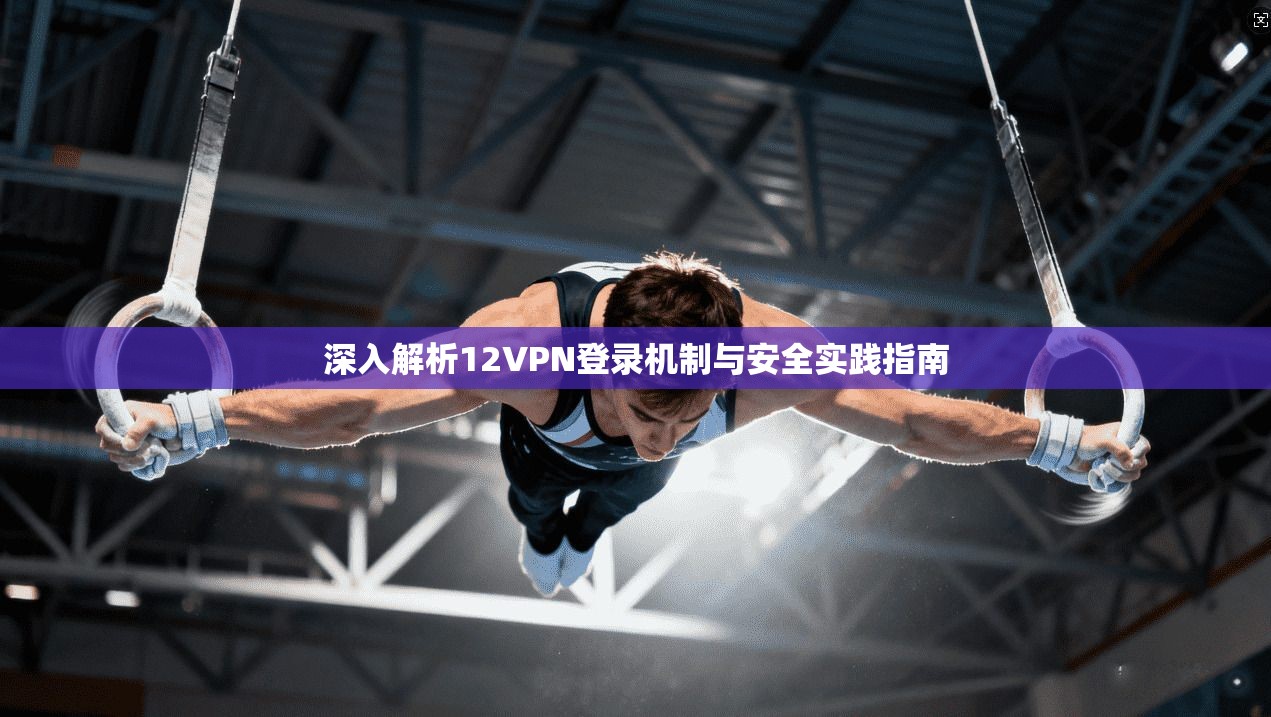 深入解析12VPN登录机制与安全实践指南