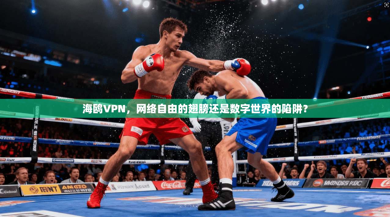 海鸥VPN，网络自由的翅膀还是数字世界的陷阱？