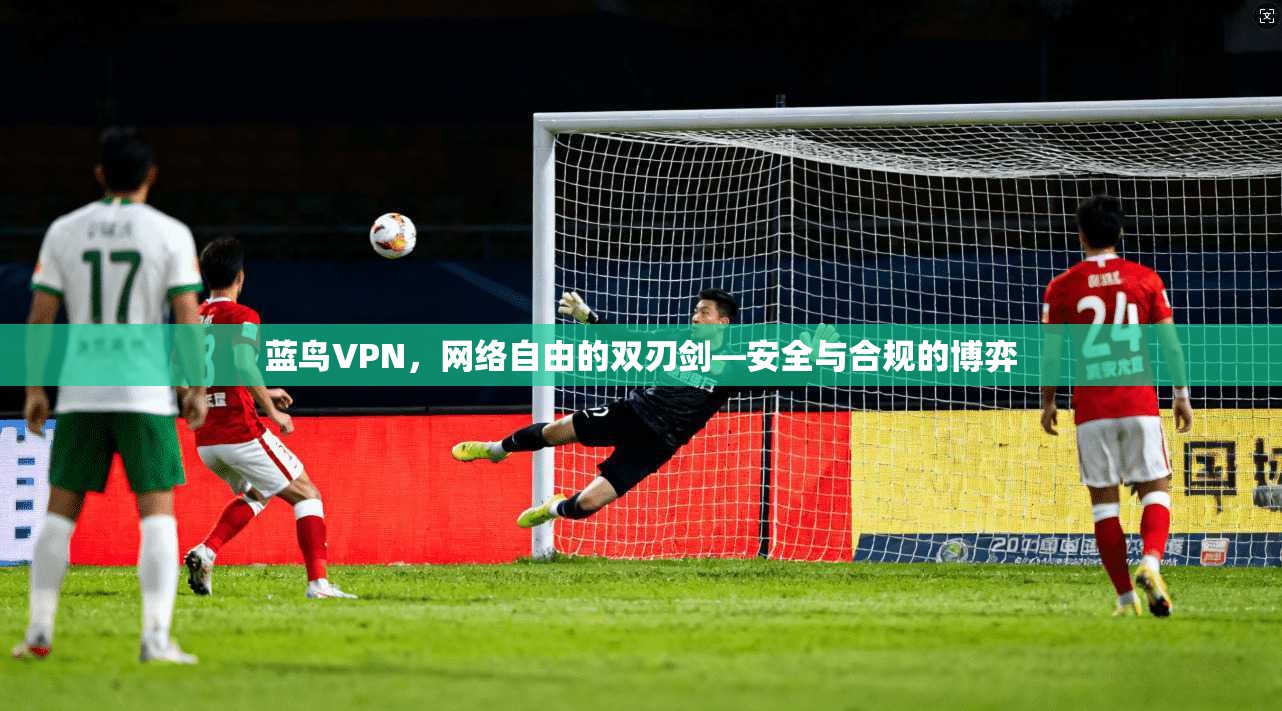 蓝鸟VPN，网络自由的双刃剑—安全与合规的博弈