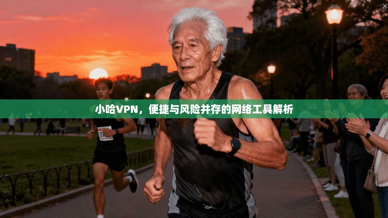 小哈VPN，便捷与风险并存的网络工具解析