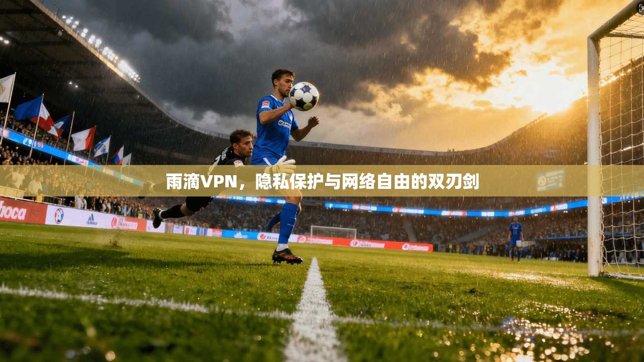 雨滴VPN，隐私保护与网络自由的双刃剑