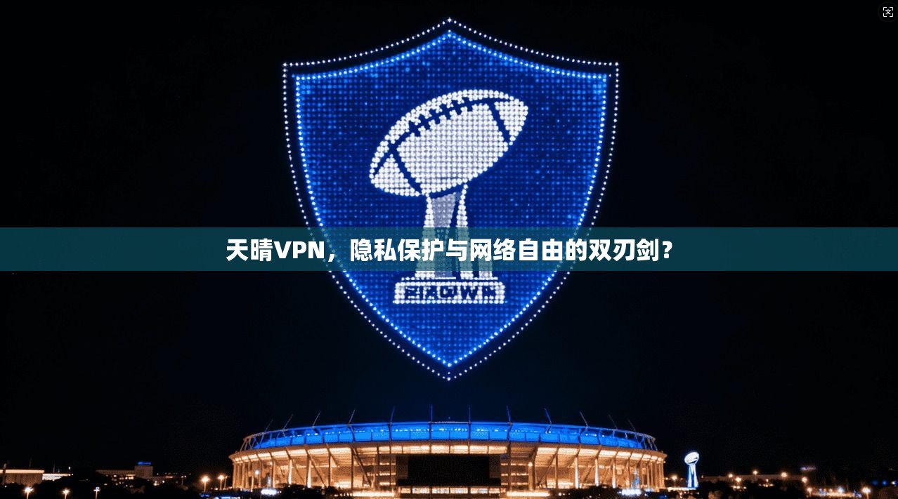 天晴VPN，隐私保护与网络自由的双刃剑？