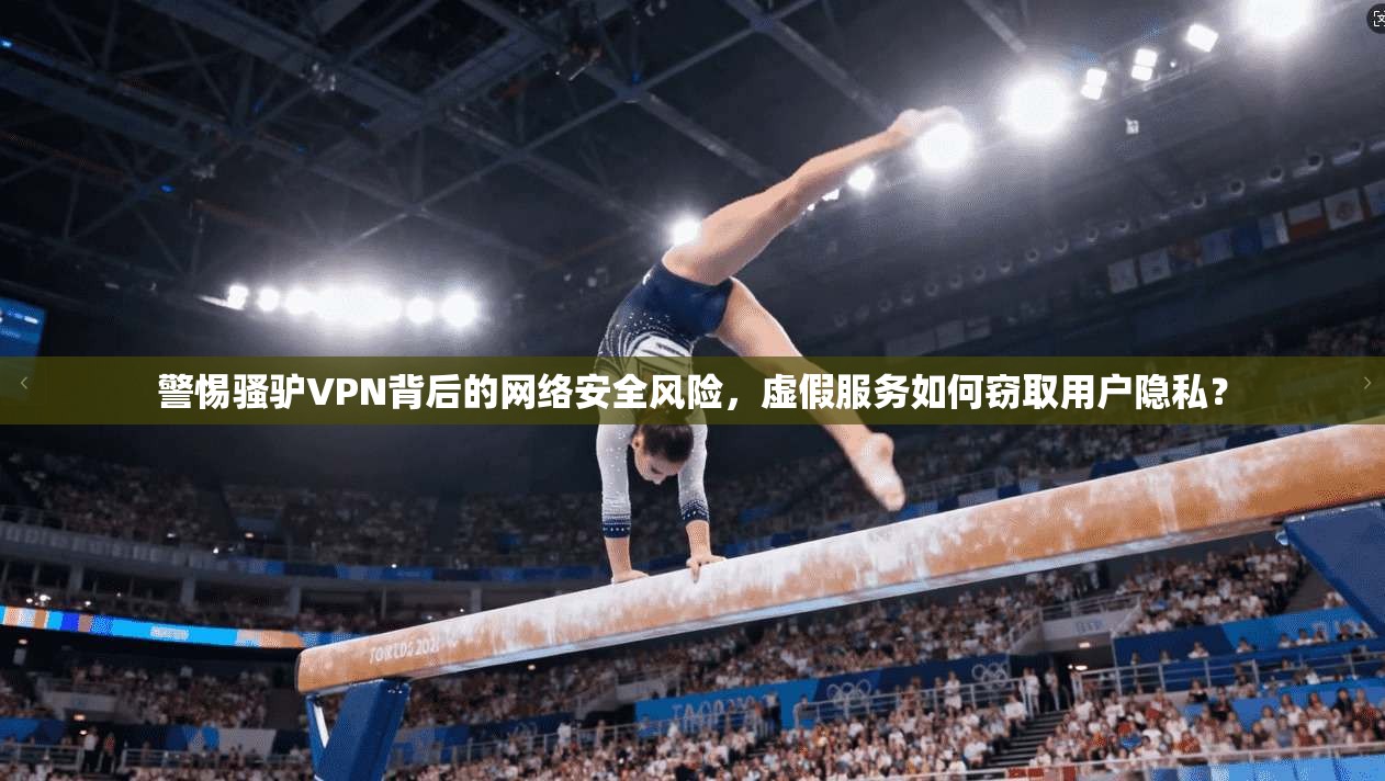 警惕骚驴VPN背后的网络安全风险，虚假服务如何窃取用户隐私？