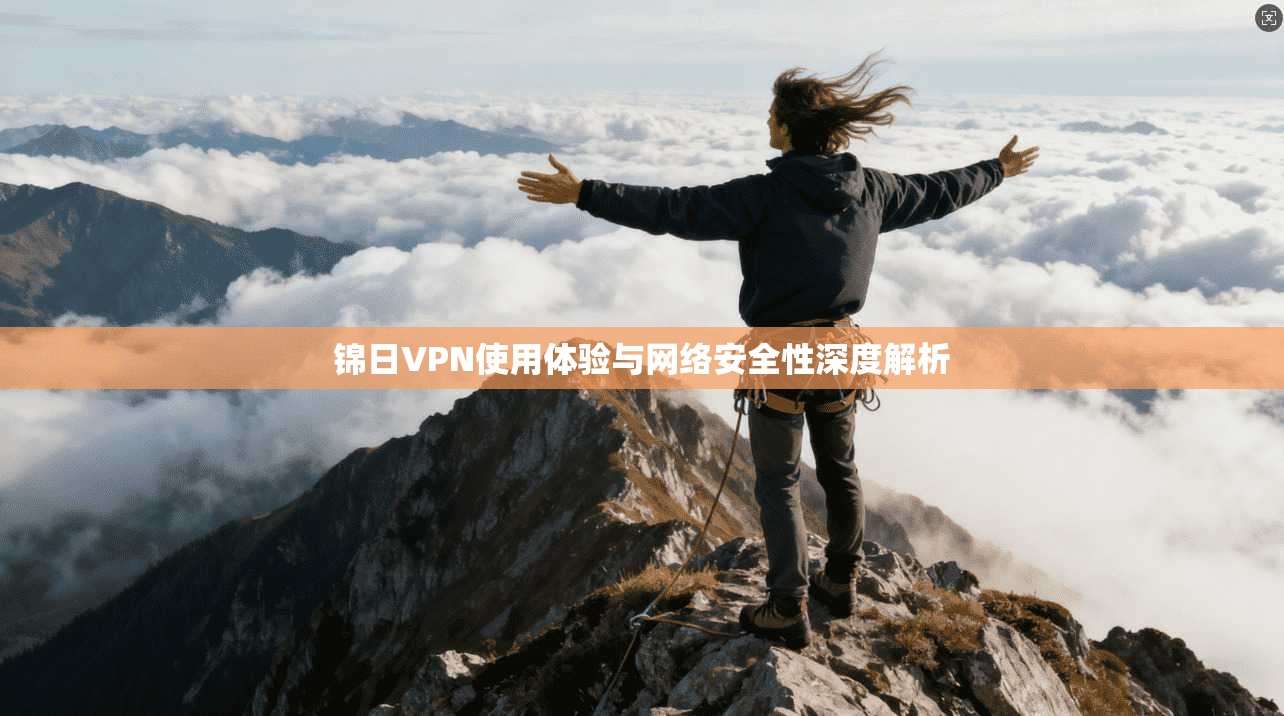 锦日VPN使用体验与网络安全性深度解析