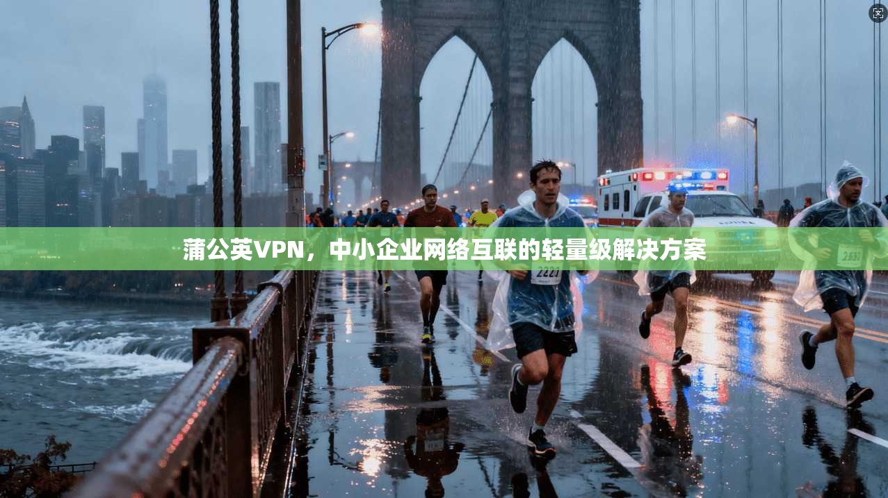 蒲公英VPN，中小企业网络互联的轻量级解决方案