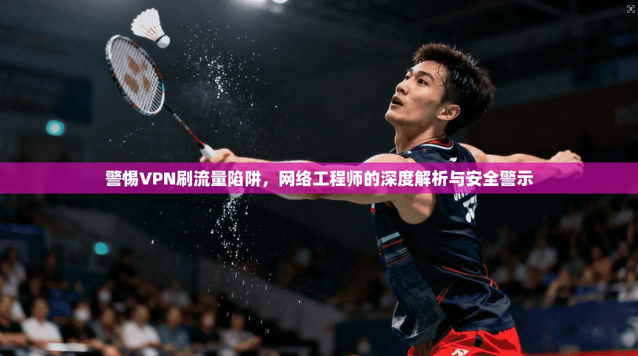 警惕VPN刷流量陷阱，网络工程师的深度解析与安全警示