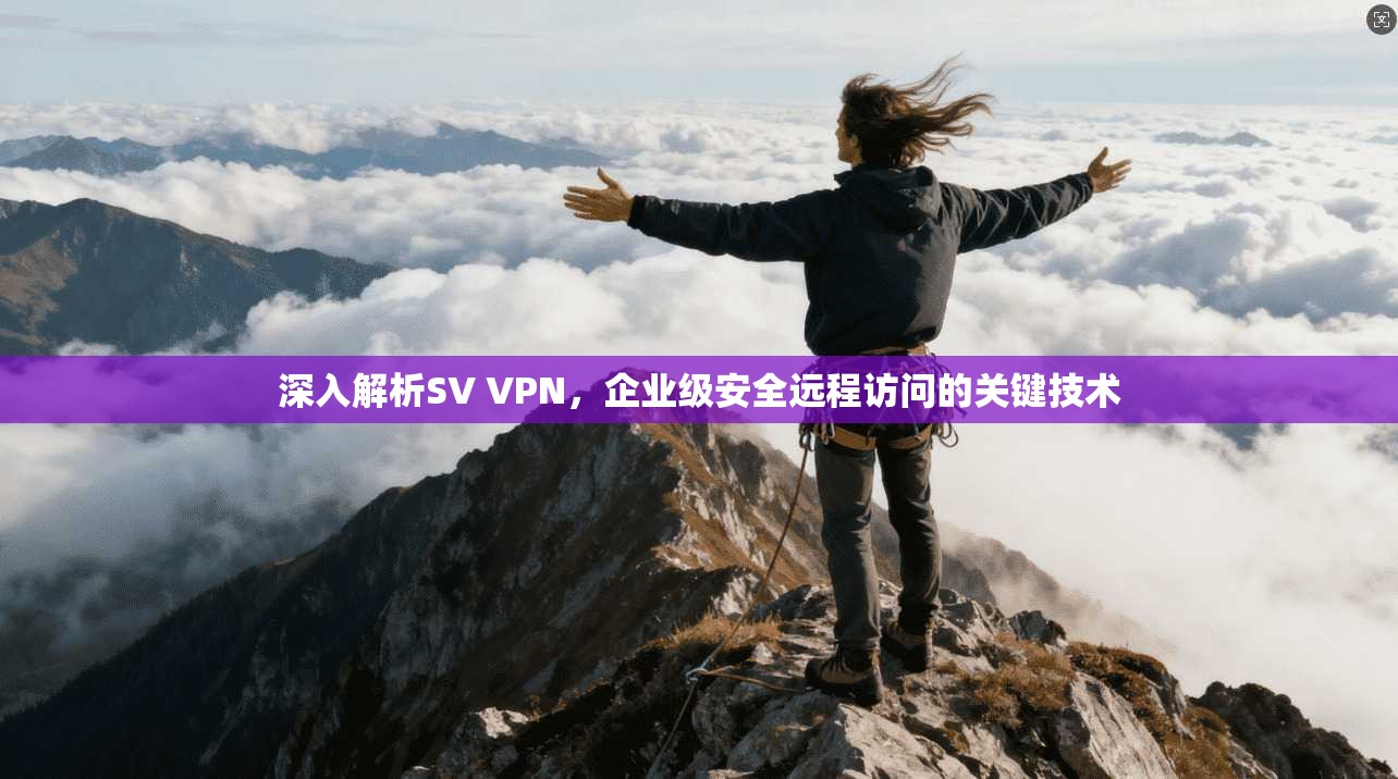 深入解析SV VPN，企业级安全远程访问的关键技术