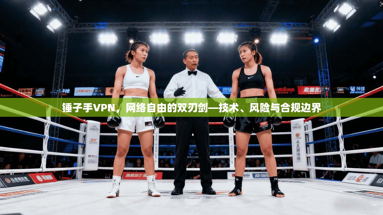 锤子手VPN，网络自由的双刃剑—技术、风险与合规边界