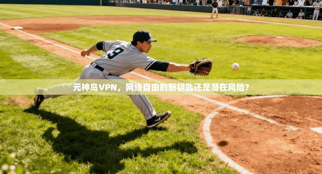 元神鸟VPN，网络自由的新钥匙还是潜在风险？