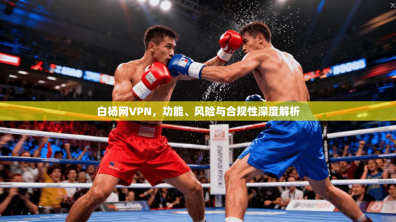 白杨网VPN，功能、风险与合规性深度解析