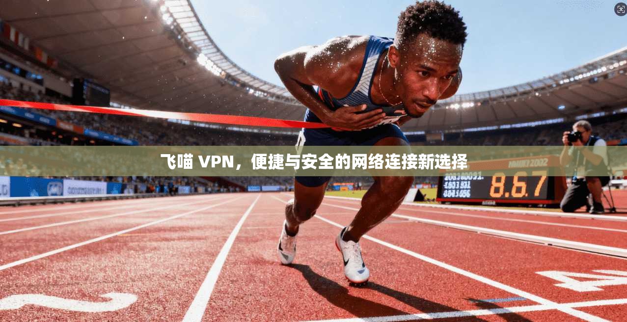 飞喵 VPN，便捷与安全的网络连接新选择
