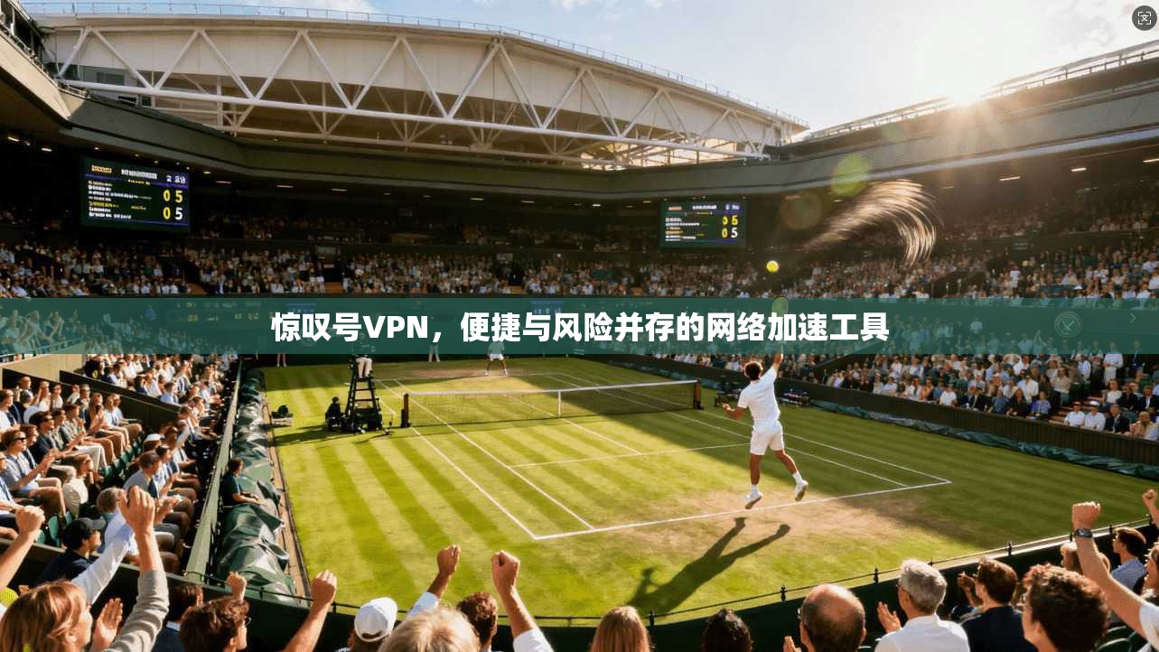 惊叹号VPN，便捷与风险并存的网络加速工具