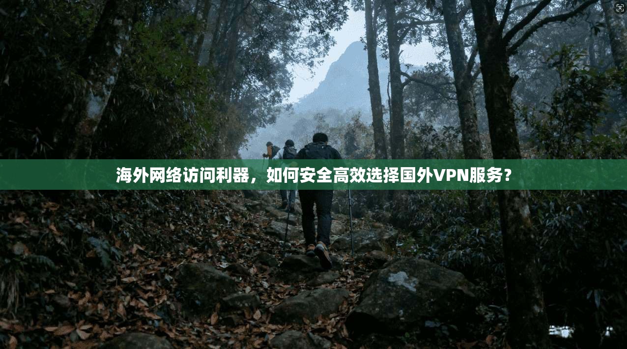 海外网络访问利器，如何安全高效选择国外VPN服务？