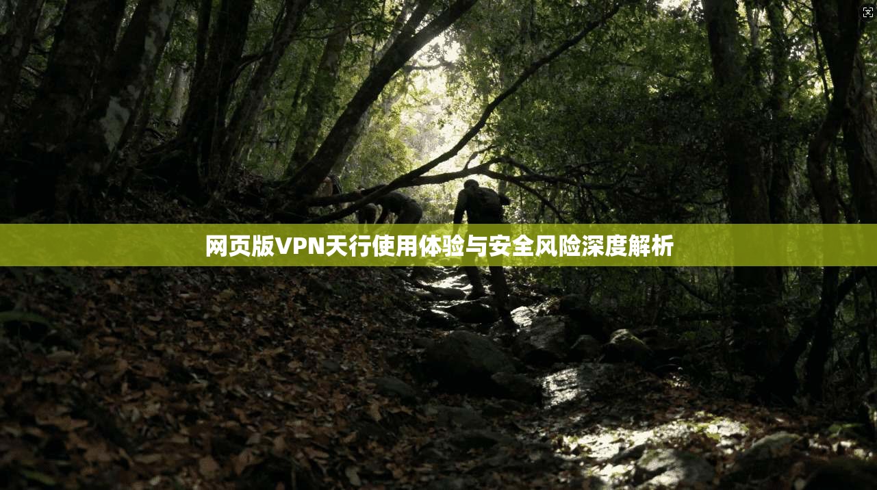 网页版VPN天行使用体验与安全风险深度解析