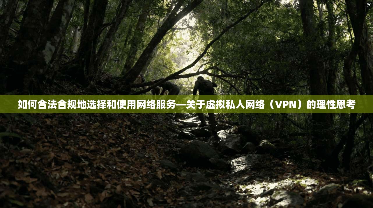 如何合法合规地选择和使用网络服务—关于虚拟私人网络（VPN）的理性思考