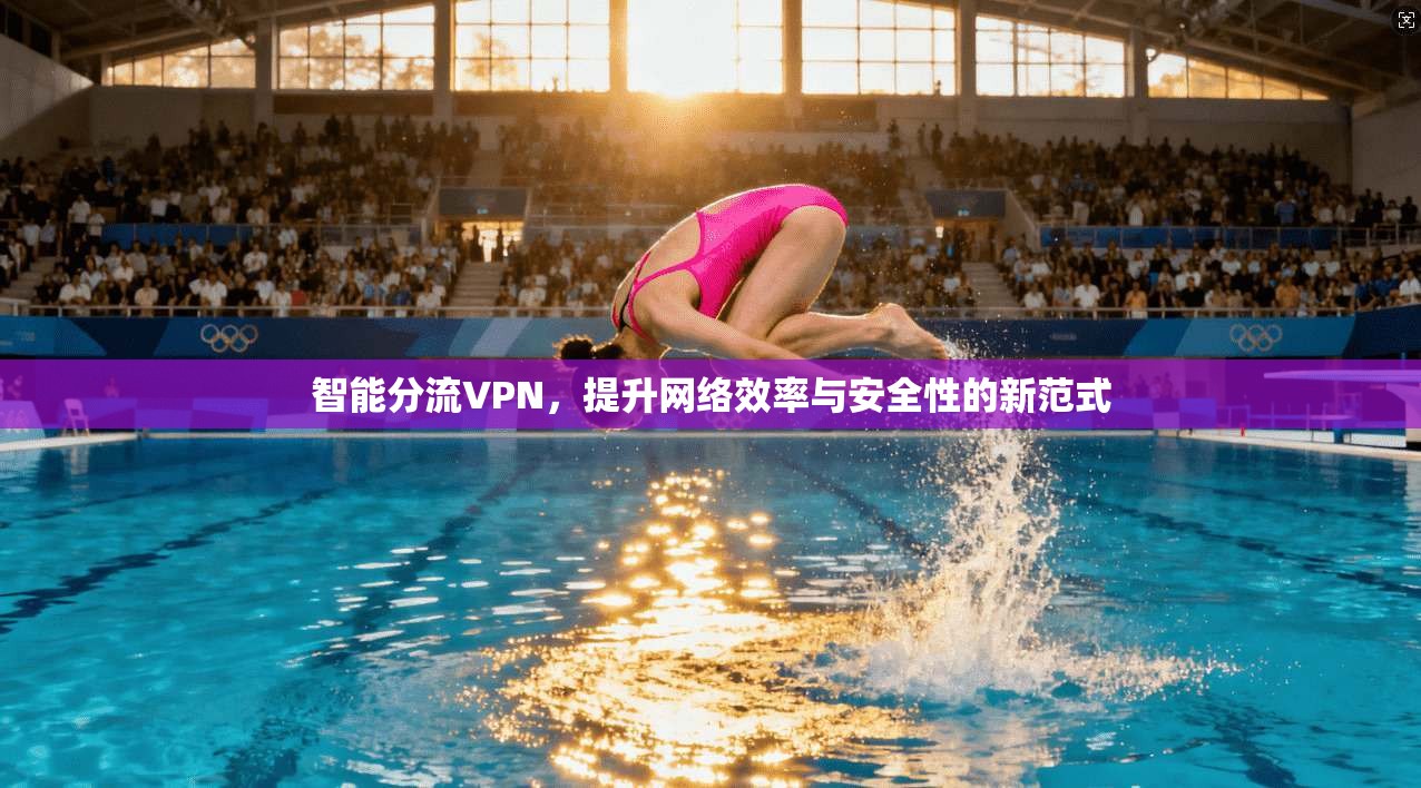 智能分流VPN，提升网络效率与安全性的新范式