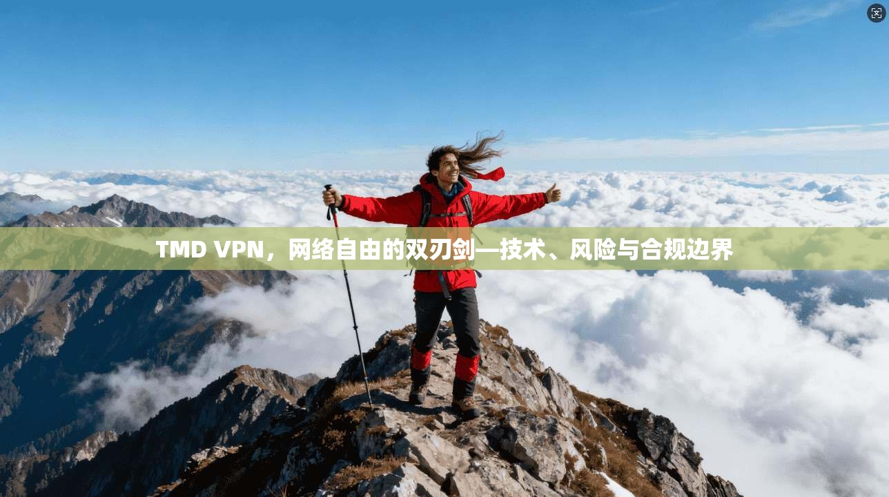 TMD VPN，网络自由的双刃剑—技术、风险与合规边界