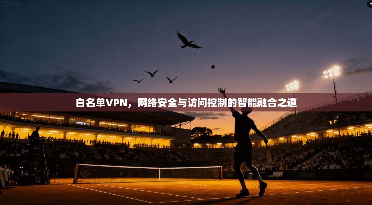 白名单VPN，网络安全与访问控制的智能融合之道