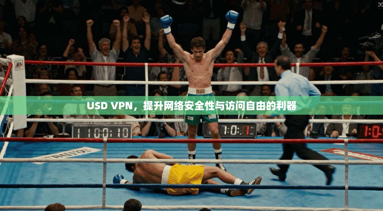 USD VPN，提升网络安全性与访问自由的利器