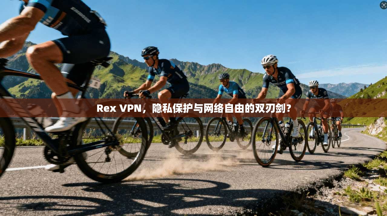 Rex VPN，隐私保护与网络自由的双刃剑？