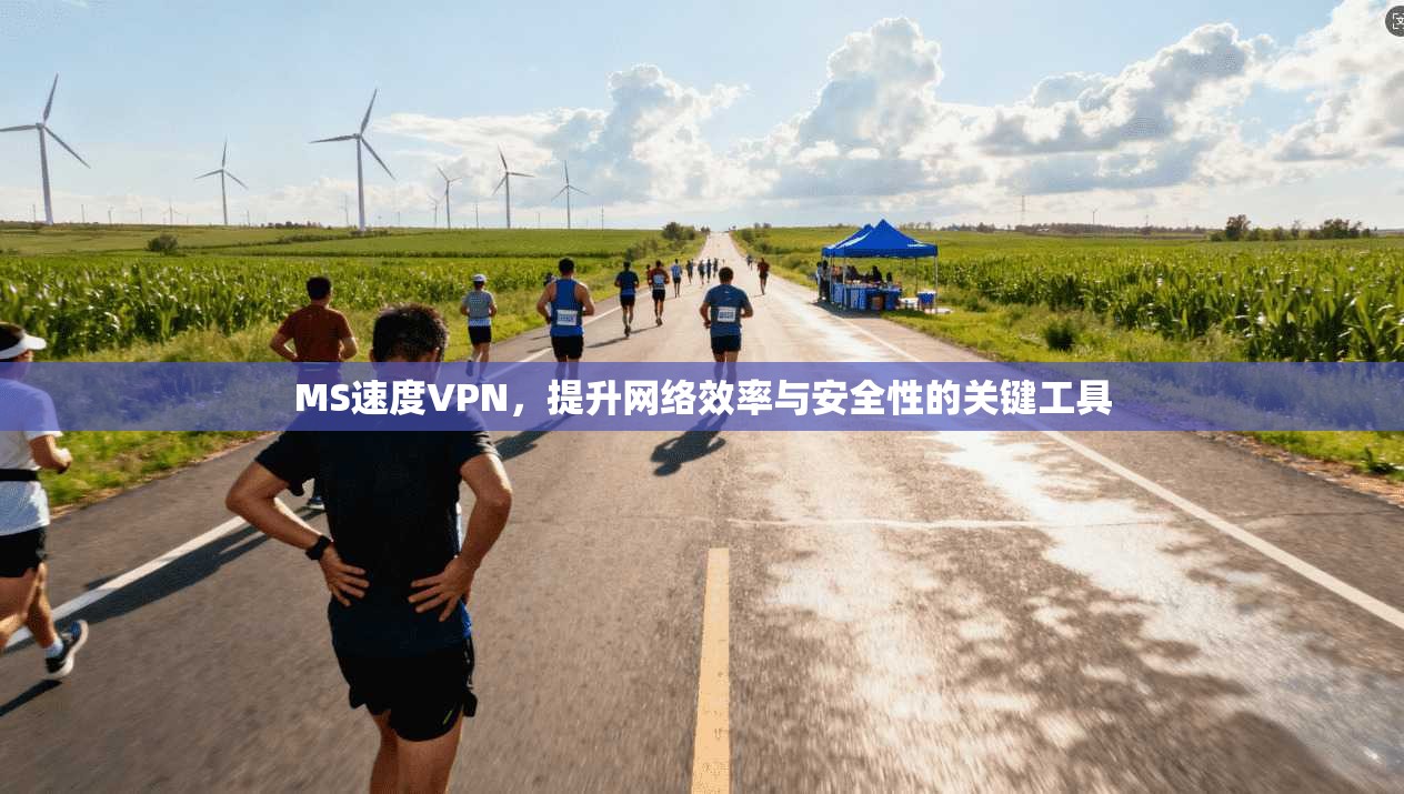 MS速度VPN，提升网络效率与安全性的关键工具