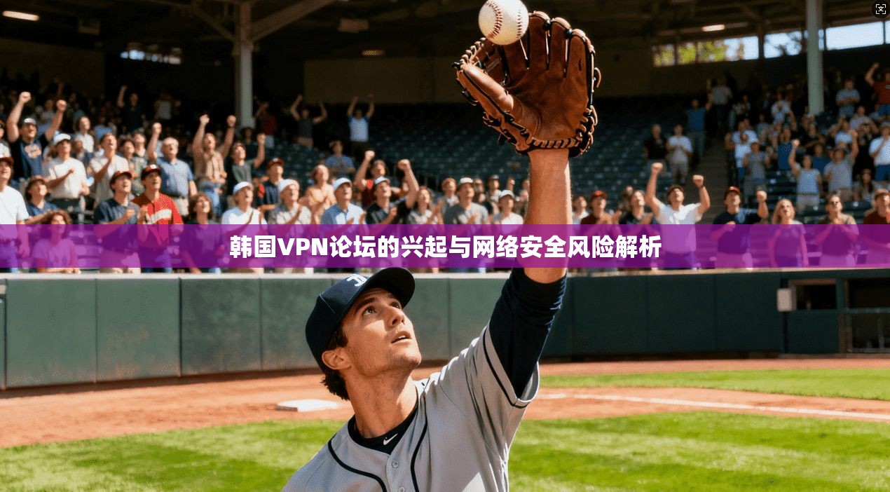 韩国VPN论坛的兴起与网络安全风险解析