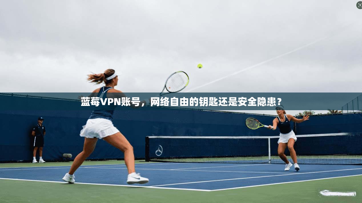 蓝莓VPN账号，网络自由的钥匙还是安全隐患？