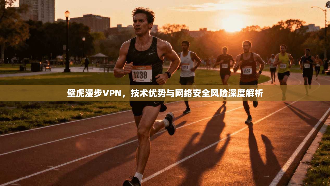 壁虎漫步VPN，技术优势与网络安全风险深度解析