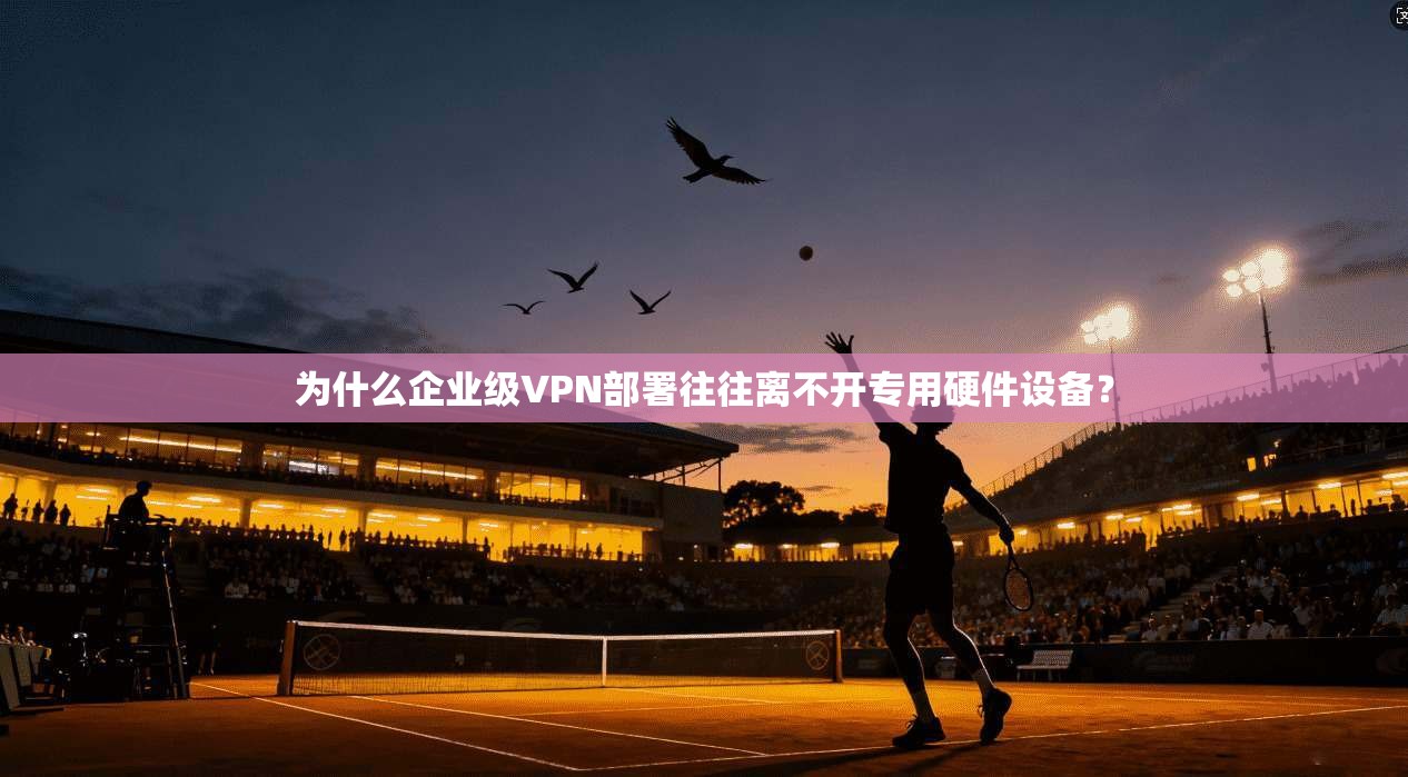 为什么企业级VPN部署往往离不开专用硬件设备？